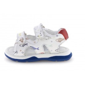 Πέδιλα Falcotto