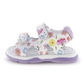 Πέδιλα Falcotto